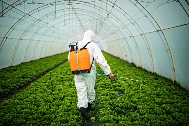 Best Pest Prevention Services  in Harmony Grove, CA