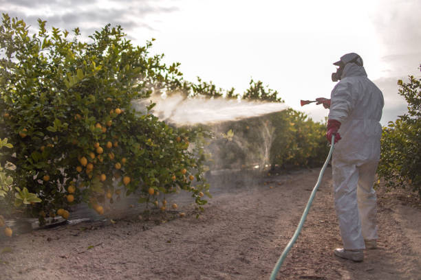 Best Pest Control for Restaurants  in Harmony Grove, CA