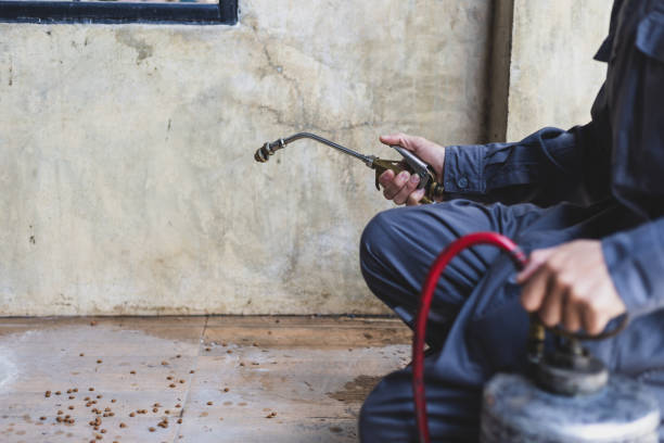 Best Affordable Pest Control Services  in Harmony Grove, CA
